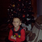 Kie and Tree